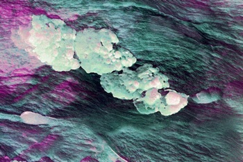 AP 63A1